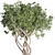 Bonsai Tree Concrete Planter Outdoor 3D model small image 3