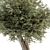 Antique Olive Tree Set 82 3D model small image 2