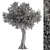 Antique Olive Tree Set 82 3D model small image 3