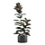 Exotic Indoor Plant Pack Collection 3D model small image 6