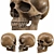 Low-Poly Skull 3D Model 3D model small image 3