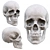 Low-Poly Skull 3D Model 3D model small image 4