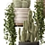 Cactus Set 648 on Metal Base 3D model small image 4