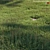 Grass Model Set Bundle 03 3D model small image 2