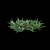 Grass Plant Model Set 3D model small image 7