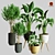 Exquisite Indoor Plant Collection 3D Model 3D model small image 1