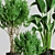 Exquisite Indoor Plant Collection 3D Model 3D model small image 3