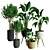 Exquisite Indoor Plant Collection 3D Model 3D model small image 5