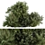 Exotic Bush Mix Set 71 3D model small image 1