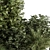 Exotic Bush Mix Set 71 3D model small image 2