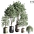 Modern Indoor Plant Set 27 3D model small image 1