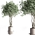 Modern Indoor Plant Set 27 3D model small image 2