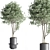 Modern Indoor Plant Set 27 3D model small image 3