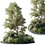 Variety Greenery Collection 3D Models 3D model small image 2