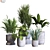 Botanica Interior Plant Collection Set 3D model small image 1