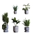 Botanica Interior Plant Collection Set 3D model small image 3