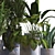 Botanica Interior Plant Collection Set 3D model small image 4