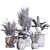 Botanica Interior Plant Collection Set 3D model small image 6