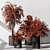 Ruby Red Plant Trio Display 3D model small image 2