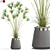 Exotic Plant Collection Set 667 3D model small image 1