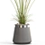 Exotic Plant Collection Set 667 3D model small image 2