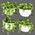 Pothos Hanging Plant Collection 3D model small image 1