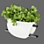 Pothos Hanging Plant Collection 3D model small image 2