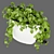 Pothos Hanging Plant Collection 3D model small image 4