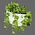 Pothos Hanging Plant Collection 3D model small image 5