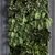 Modern Interior Vertical Plant Set 3D model small image 4