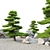 Manchurian Red Pine 3D Model 3D model small image 2