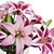 Pink Lilies Bouquet 3D Model 3D model small image 5