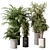 Indoor Plant Set: Tree & Pot 3D model small image 1