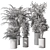 Indoor Plant Set: Tree & Pot 3D model small image 5