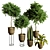 Modern Indoor Plant Collection 84 3D model small image 1