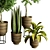 Modern Indoor Plant Collection 84 3D model small image 2