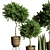 Modern Indoor Plant Collection 84 3D model small image 3