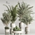 Corona Indoor Plant Set 3Ds Max 3D model small image 1