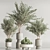 Corona Indoor Plant Set 3Ds Max 3D model small image 3