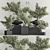 Mini Bonsai Plant Set 3D 3D model small image 1