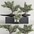 Mini Bonsai Plant Set 3D 3D model small image 2