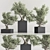 Mini Bonsai Plant Set 3D 3D model small image 3