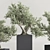 Mini Bonsai Plant Set 3D 3D model small image 5