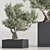 Mini Bonsai Plant Set 3D 3D model small image 6