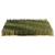 Detailed 3D High Ryegrass Model 3D model small image 2