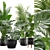 Exotic Indoor Plants Pack 17 3D model small image 2