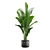 Exotic Indoor Plants Pack 17 3D model small image 6