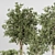 Indoor Plant Collection 3D Model 3D model small image 3