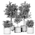 Indoor Plant Collection 3D Model 3D model small image 4