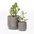 Chic Indoor Plants in Decorative Pots 3D model small image 1